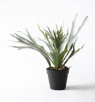 Kunstig Hjortebregne Kunstig Hjortebregne